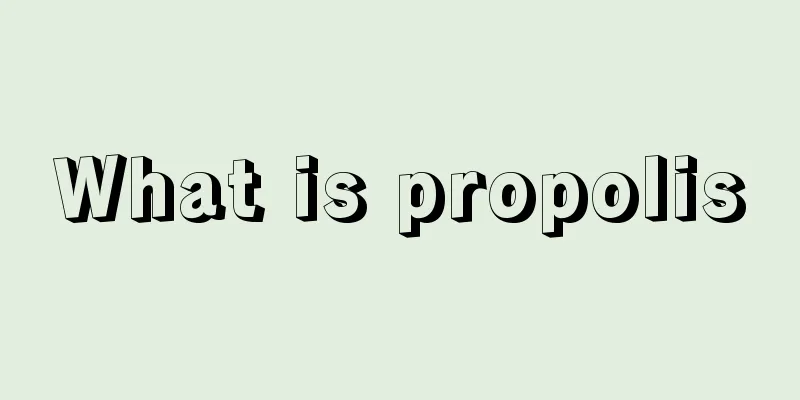 What is propolis