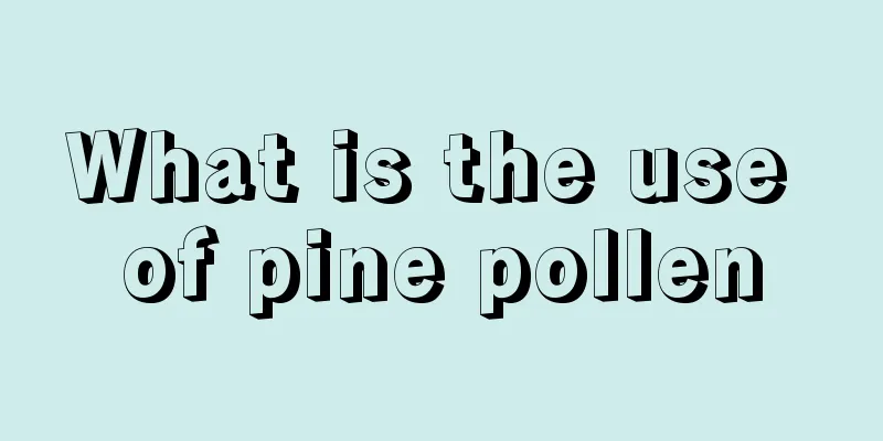 What is the use of pine pollen