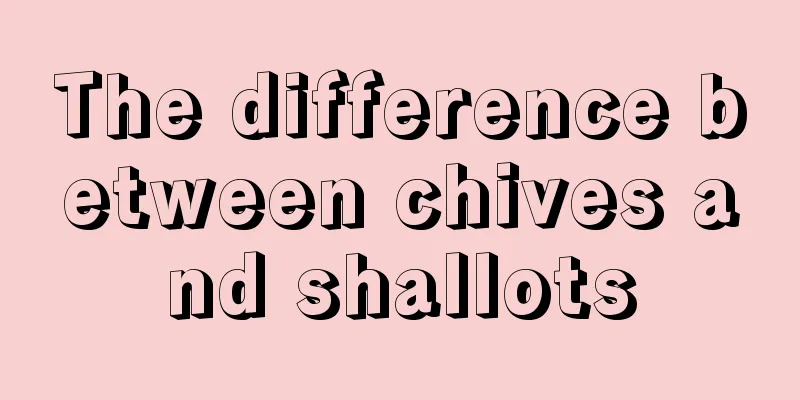 The difference between chives and shallots