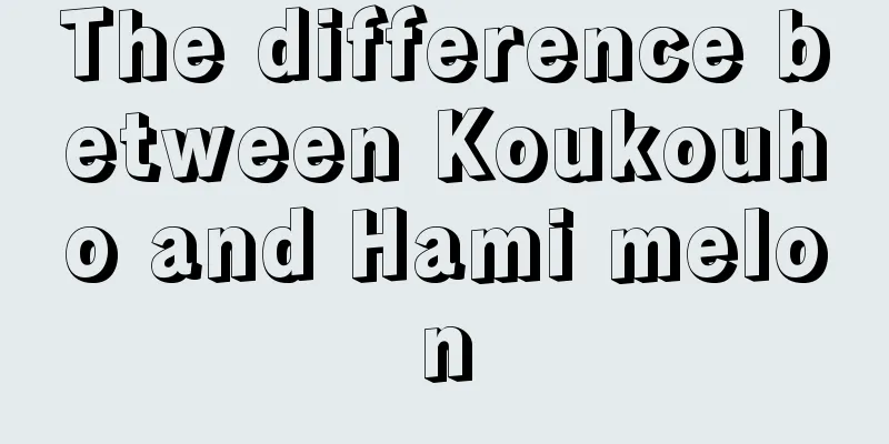 The difference between Koukouho and Hami melon
