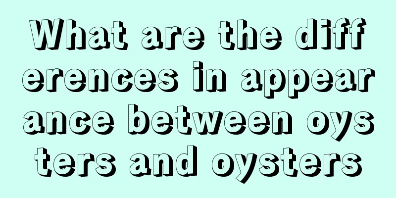 What are the differences in appearance between oysters and oysters