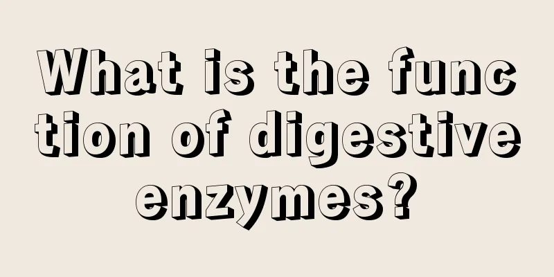 What is the function of digestive enzymes? 