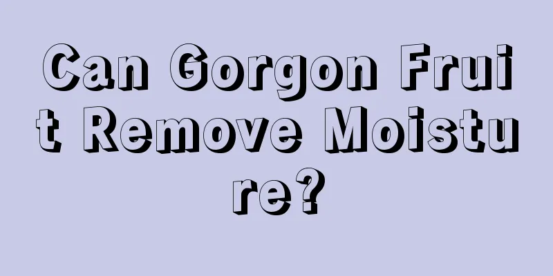 Can Gorgon Fruit Remove Moisture?