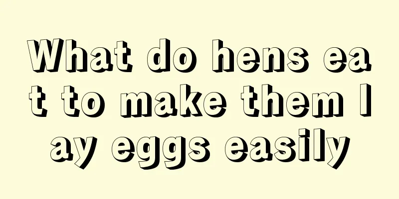 What do hens eat to make them lay eggs easily