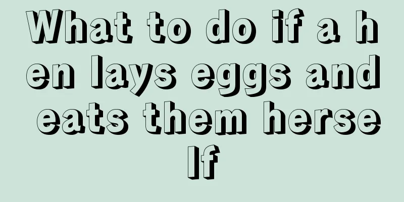 What to do if a hen lays eggs and eats them herself