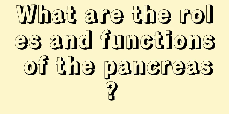 What are the roles and functions of the pancreas? 