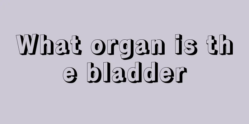 What organ is the bladder