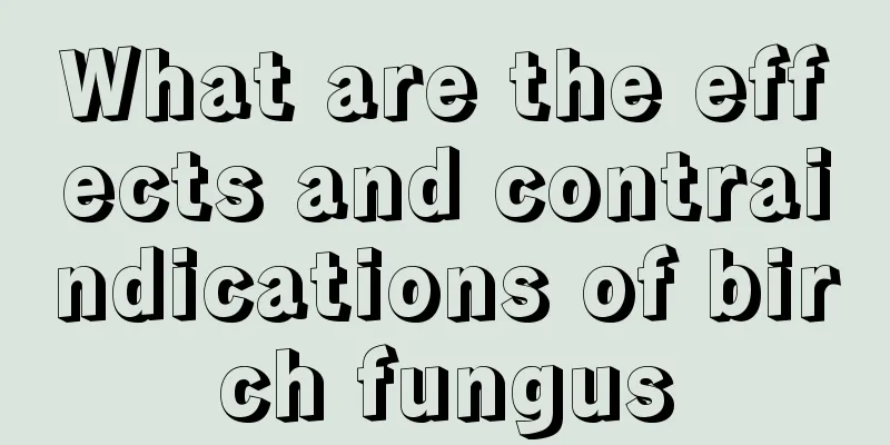 What are the effects and contraindications of birch fungus