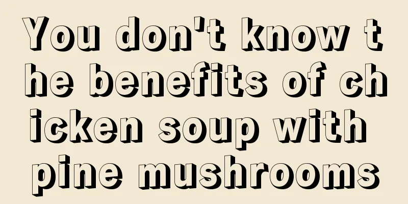 You don't know the benefits of chicken soup with pine mushrooms