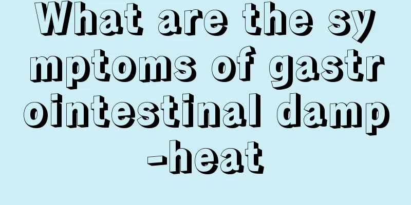 What are the symptoms of gastrointestinal damp-heat