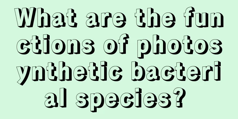 What are the functions of photosynthetic bacterial species? 