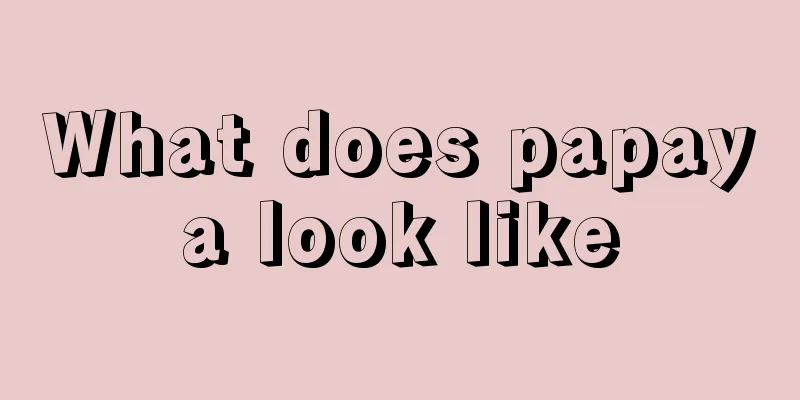 What does papaya look like