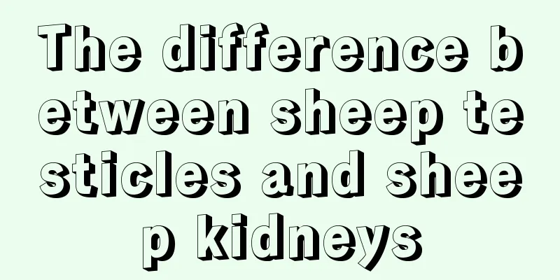 The difference between sheep testicles and sheep kidneys