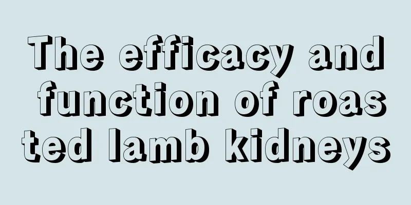 The efficacy and function of roasted lamb kidneys