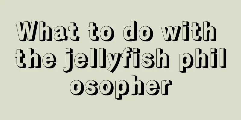 What to do with the jellyfish philosopher