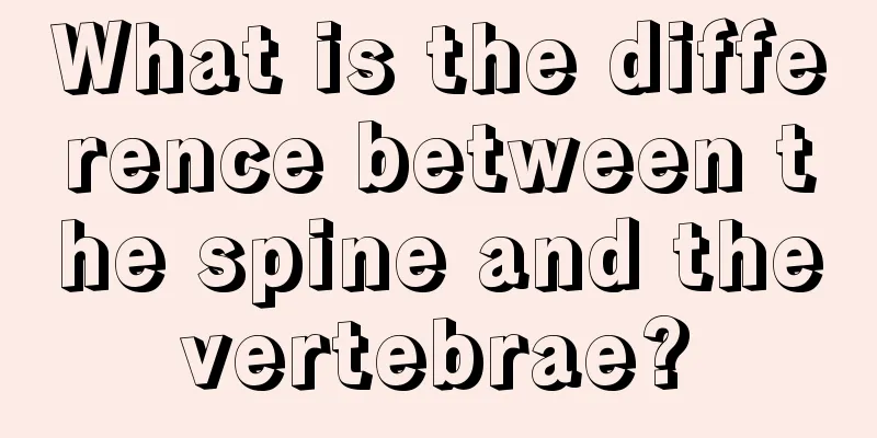 What is the difference between the spine and the vertebrae? 