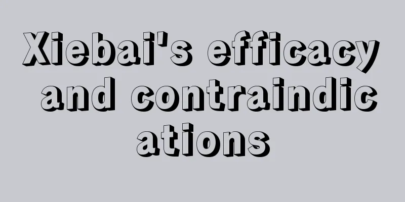 Xiebai's efficacy and contraindications