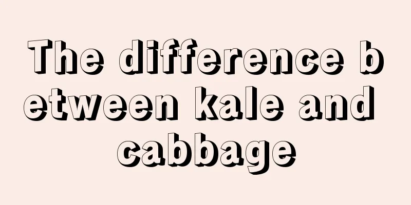 The difference between kale and cabbage