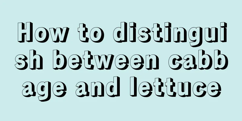 How to distinguish between cabbage and lettuce