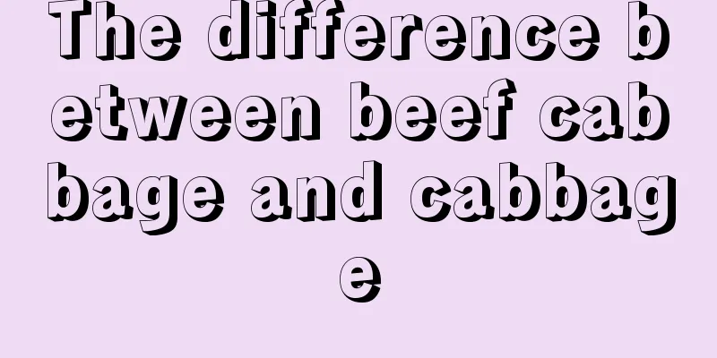 The difference between beef cabbage and cabbage