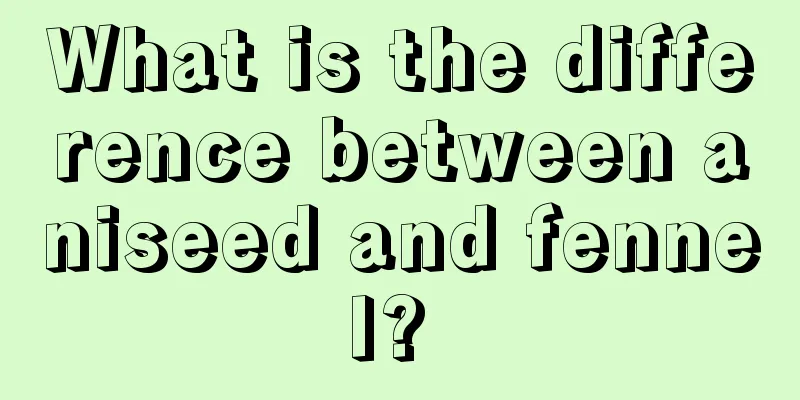 What is the difference between aniseed and fennel? 