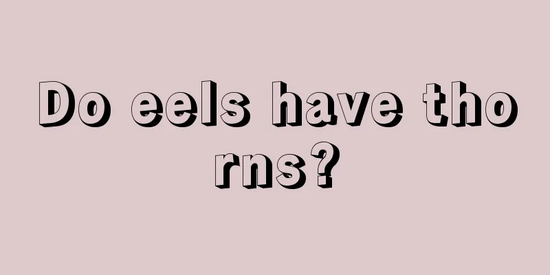 Do eels have thorns?