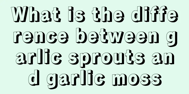 What is the difference between garlic sprouts and garlic moss