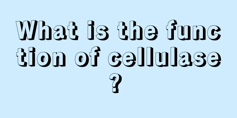 What is the function of cellulase? 