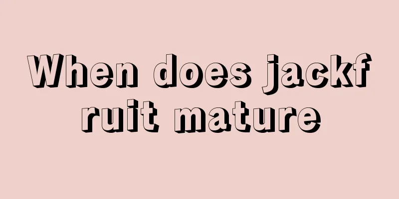 When does jackfruit mature