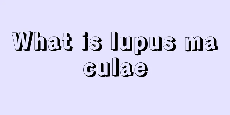What is lupus maculae