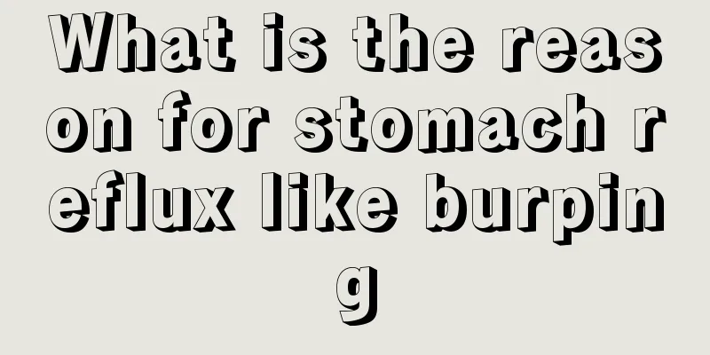 What is the reason for stomach reflux like burping