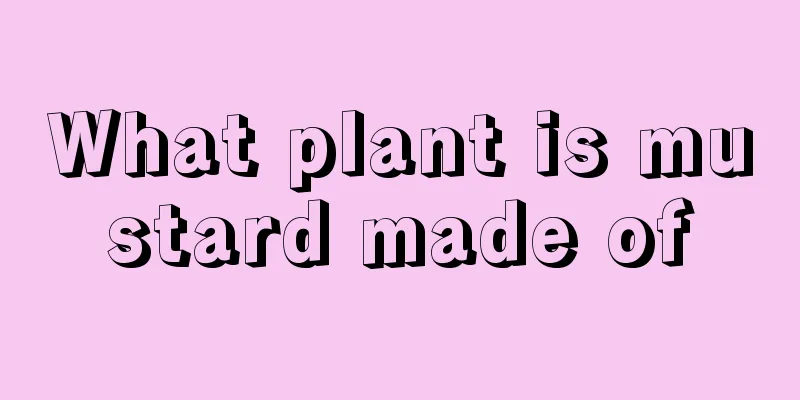 What plant is mustard made of