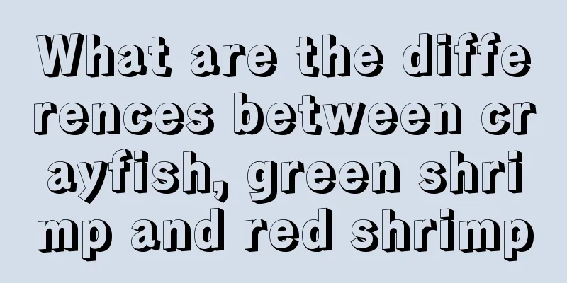 What are the differences between crayfish, green shrimp and red shrimp