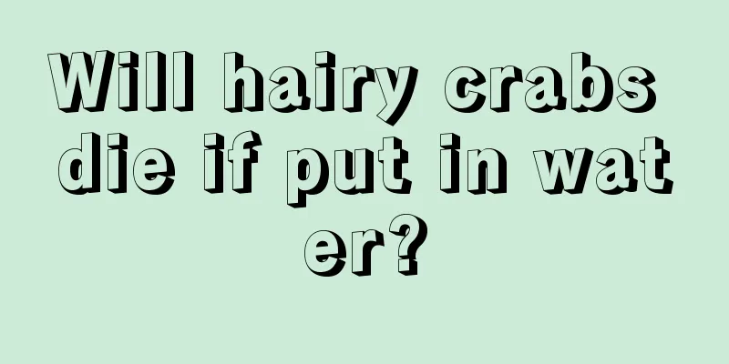 Will hairy crabs die if put in water?