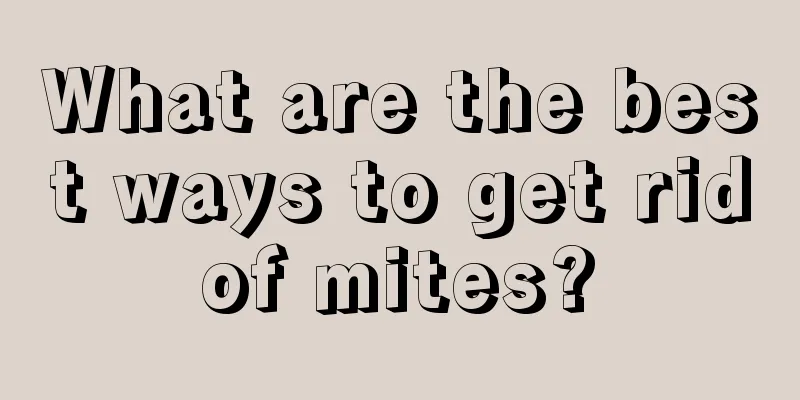 What are the best ways to get rid of mites? 