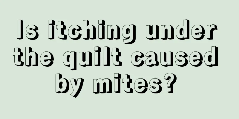 Is itching under the quilt caused by mites? 
