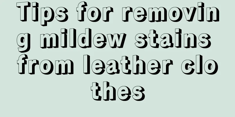 Tips for removing mildew stains from leather clothes