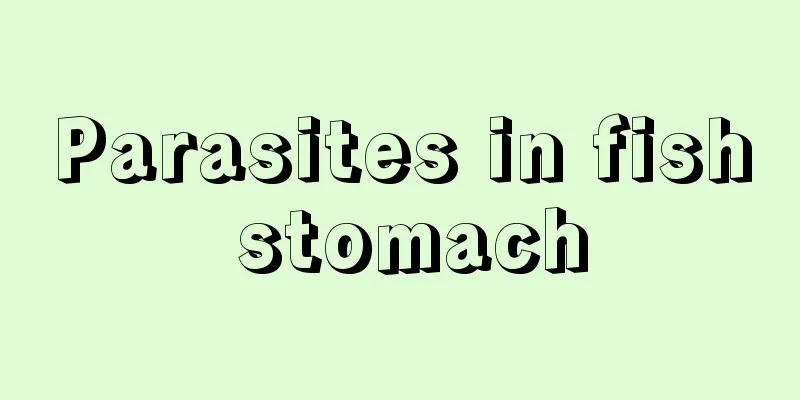 Parasites in fish stomach