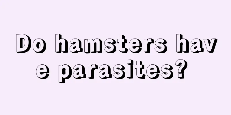 Do hamsters have parasites? 
