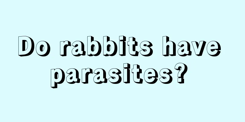 Do rabbits have parasites? 