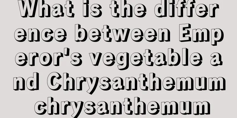 What is the difference between Emperor's vegetable and Chrysanthemum chrysanthemum