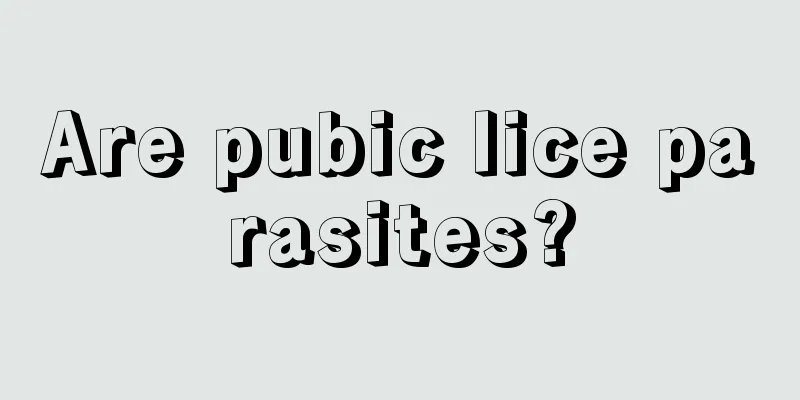 Are pubic lice parasites?