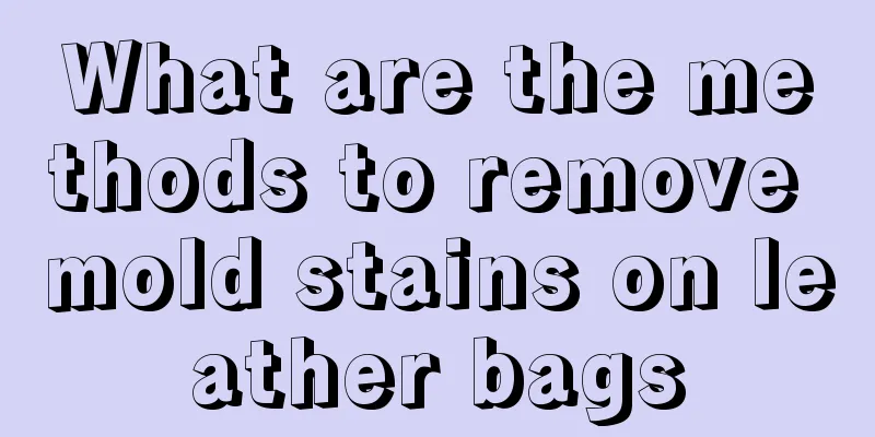 What are the methods to remove mold stains on leather bags