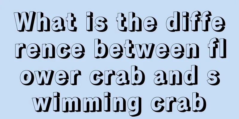 What is the difference between flower crab and swimming crab