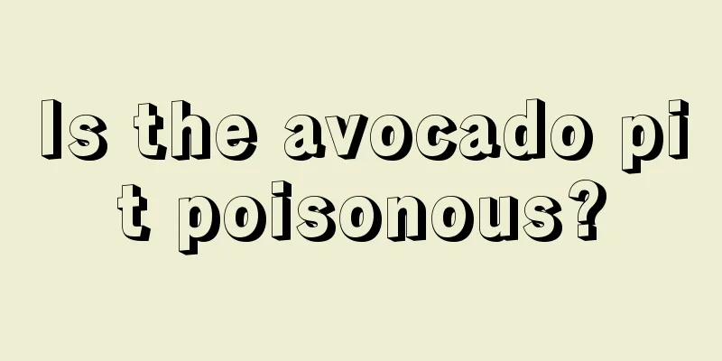 Is the avocado pit poisonous?