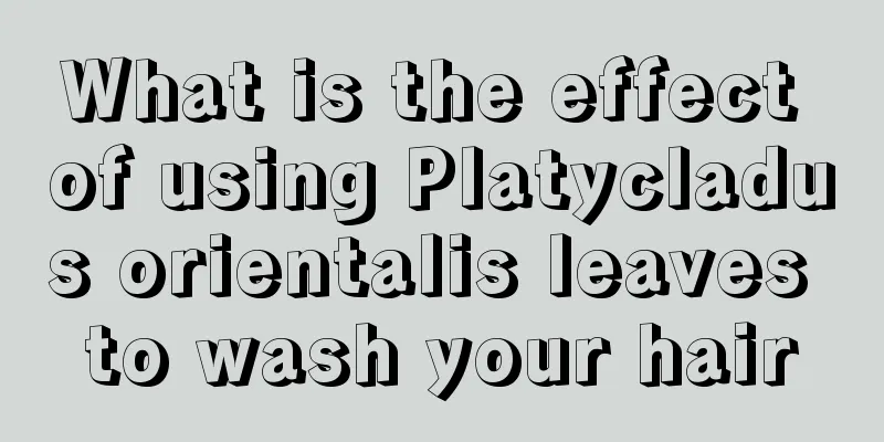 What is the effect of using Platycladus orientalis leaves to wash your hair
