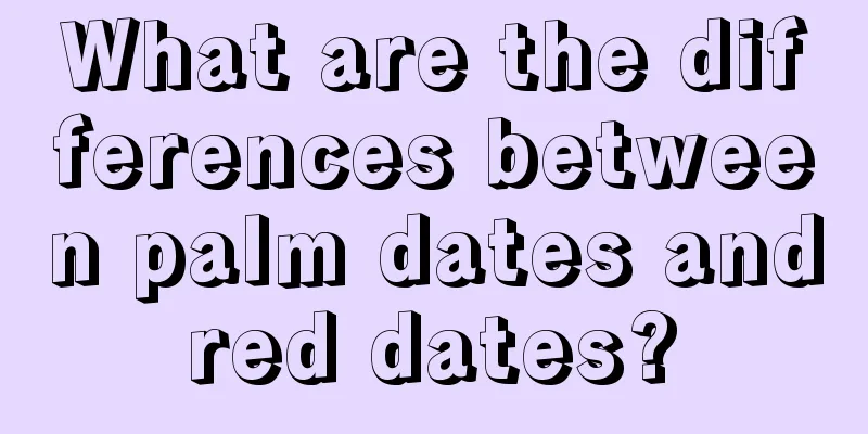 What are the differences between palm dates and red dates? 