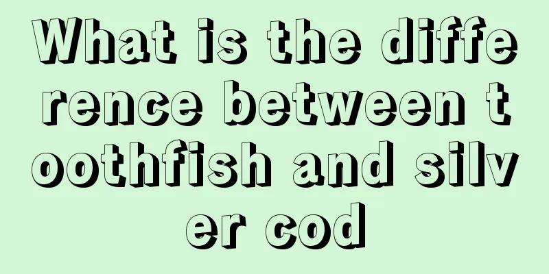 What is the difference between toothfish and silver cod