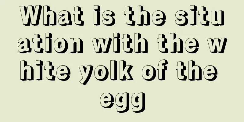 What is the situation with the white yolk of the egg