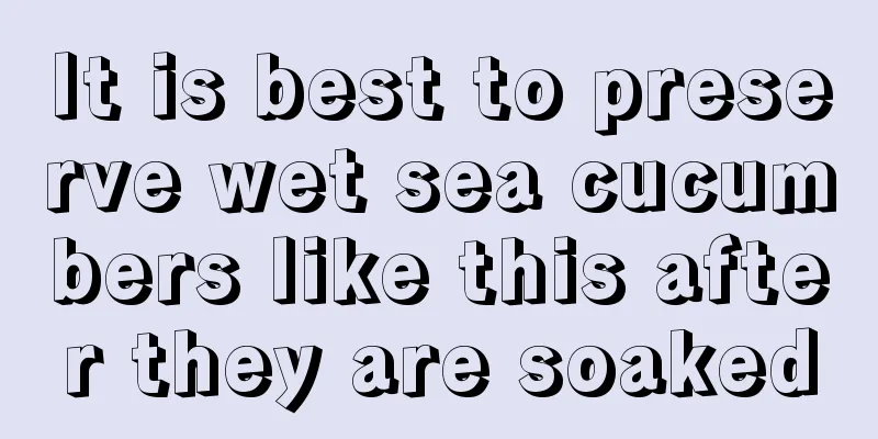 It is best to preserve wet sea cucumbers like this after they are soaked